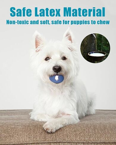 Dog Toys Squeaky, Funny Puppy Balls Pet Toy Pack, Interactive Latex Rubber Squeak Egg Ball for Puppies Small Medium Breed Dogs in Kuwait