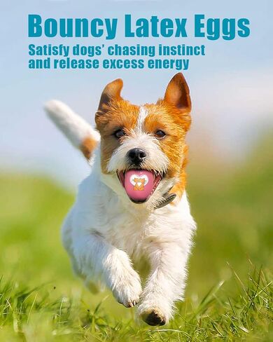 Dog Toys Squeaky, Funny Puppy Balls Pet Toy Pack, Interactive Latex Rubber Squeak Egg Ball for Puppies Small Medium Breed Dogs in Kuwait