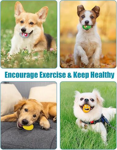 Dog Toys Squeaky, Funny Puppy Balls Pet Toy Pack, Interactive Latex Rubber Squeak Egg Ball for Puppies Small Medium Breed Dogs in Kuwait