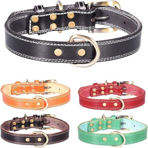 Genuine Leather Puppy Dog Collar, Basic Dog Collars, Adjustable Collars for Small Dogs (XS:21-27 cm, Green) in Saudi Arabia