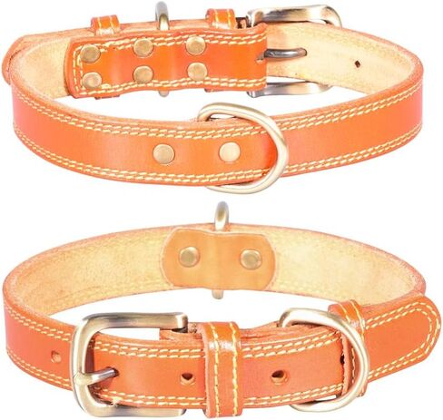 Genuine Leather Puppy Dog Collar, Basic Dog Collars, Adjustable Collars for Small Dogs (XS:21-27 cm, Green) in Saudi Arabia
