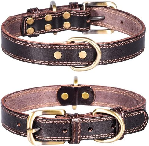 Genuine Leather Puppy Dog Collar, Basic Dog Collars, Adjustable Collars for Small Dogs (XS:21-27 cm, Green) in Saudi Arabia