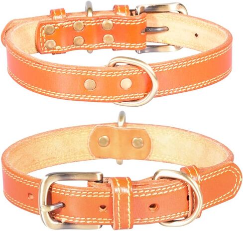 Genuine Leather Puppy Dog Collar, Basic Dog Collars, Adjustable Collars for Small Dogs (XS:21-27 cm, Green) in Saudi Arabia