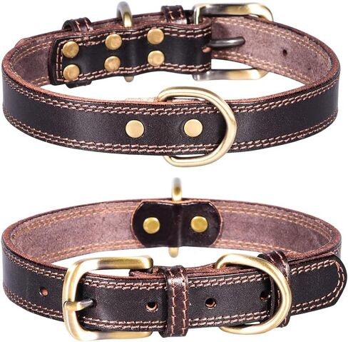 Genuine Leather Puppy Dog Collar, Basic Dog Collars, Adjustable Collars for Small Dogs (XS:21-27 cm, Green) in Saudi Arabia