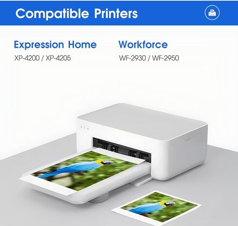 خراطيش حبر LLAOLLAO 65XL 65 عبوة كومبو سوداء اللون معاد تصنيعها بديلة لحبر HP 65 XL تعمل مع طابعة Deskjet 3755 3700 3772 3722 3752 2600 2652 2622 Envy 5055 5000 5070 (عبوتان) in Saudi Arabia