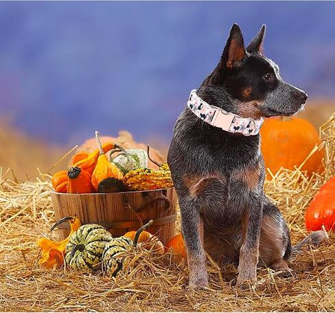 Dog Collars, Plaid Print Pet Collar Durable Metal Collar Soft Girl Boy Dog Collars Adjustable Dog Collar for Large Dogs in Kuwait
