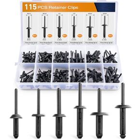 GOOACC 115 Pcs Automotive Nylon Universal Pop Rivet Assortment - 6 Most Popular Sizes & Applications for GM Ford Chrysler VW