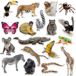 36 Pcs Jumbo Realistic Rainforest Cutouts Safari Animal Cut Out for Kids Wild Animal Accents Rainforest Animal Party Decorations for Teacher Student Educational and Learning Activities Classroom Decor
