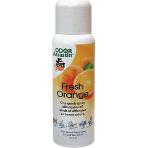 17061 Odor Eliminator, 6-Ounce, Orange