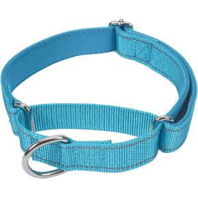 SGODA Martingale Dog Collar, Reflective Nylon Padded Dog Training Collars for Small Dogs, Blue S