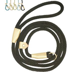 6.5ft Pet Slip Leash, Dog Lead and Collar Combo, Gentle Lead Leash, Recall Training Leash for Small Medium Large Dogs (Tan, 6.5ft x 11mm)