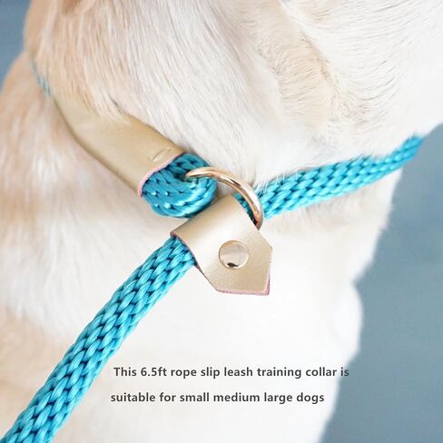 6.5ft Pet Slip Leash, Dog Lead and Collar Combo, Gentle Lead Leash, Recall Training Leash for Small Medium Large Dogs (Tan, 6.5ft x 11mm) in Saudi Arabia