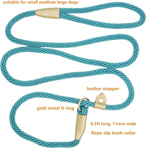 6.5ft Pet Slip Leash, Dog Lead and Collar Combo, Gentle Lead Leash, Recall Training Leash for Small Medium Large Dogs (Tan, 6.5ft x 11mm) in Saudi Arabia
