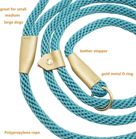 6.5ft Pet Slip Leash, Dog Lead and Collar Combo, Gentle Lead Leash, Recall Training Leash for Small Medium Large Dogs (Tan, 6.5ft x 11mm) in Saudi Arabia