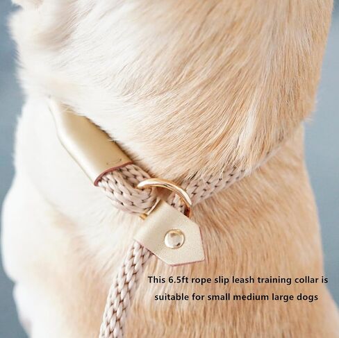6.5ft Pet Slip Leash, Dog Lead and Collar Combo, Gentle Lead Leash, Recall Training Leash for Small Medium Large Dogs (Tan, 6.5ft x 11mm) in Saudi Arabia