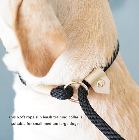 6.5ft Pet Slip Leash, Dog Lead and Collar Combo, Gentle Lead Leash, Recall Training Leash for Small Medium Large Dogs (Tan, 6.5ft x 11mm) in Saudi Arabia