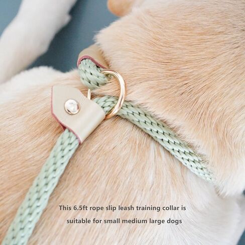 6.5ft Pet Slip Leash, Dog Lead and Collar Combo, Gentle Lead Leash, Recall Training Leash for Small Medium Large Dogs (Tan, 6.5ft x 11mm) in Saudi Arabia