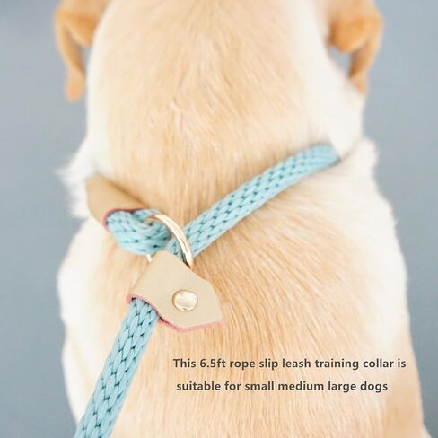 6.5ft Pet Slip Leash, Dog Lead and Collar Combo, Gentle Lead Leash, Recall Training Leash for Small Medium Large Dogs (Tan, 6.5ft x 11mm) in Saudi Arabia