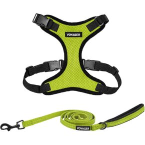 Voyager Step-in Lock Dog Harness w Reflective Dog Leash Combo Set with Neoprene Handle 5ft - Supports Small, Medium and Large Breed Puppies/Cats by Best Pet Supplies - Lime Green/Black Trim, XL