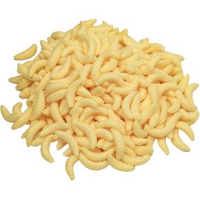 300PCS Worms Lures，Fake Worms for Fishing Bass，Maggot Grub Soft Lure Bait，Maggot Fishing Bait，Bread Worm Realistic Fishing Lure，Silicone Soft Maggot Bait，False Wax Worm for Freshwater Ice Lure Fishing