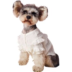 Dog Princess Dresses for Small Dogs Clothes Schnauzer Costume Pet Girl Skirt Cat Cute Yorkshire White Lace Coat Floral Outfits Summer Costumes Spring (XS,White)