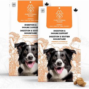 Foley's Functional Fungi Dog Treats – for Brain Function and Senior Support – Peanut Butter Flavor – Puppy Treats with Mushroom Supplement – Premium Nutrition – 200 Grams