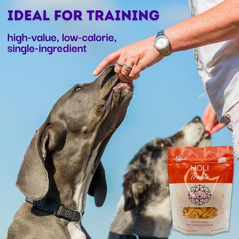 HOLI Freeze Dried Cheddar Cheese Dog Treats - 100% All Natural - Human Grade, Single Ingredient, Lactose Free - Grain Free, Gluten Free, Soy Free – (10 Ounce) in Kuwait