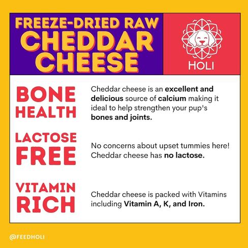 HOLI Freeze Dried Cheddar Cheese Dog Treats - 100% All Natural - Human Grade, Single Ingredient, Lactose Free - Grain Free, Gluten Free, Soy Free – (10 Ounce) in Kuwait