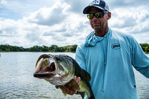 Strike King Hybrid Hunter Jr Crankbait Fishing Lure in Saudi Arabia