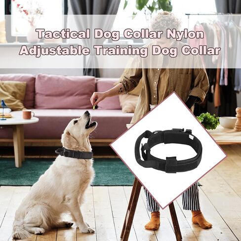 abcGoodefg Tactical Dog Collar Military Dog Collar Adjustable Nylon Dog Collar Heavy Duty Metal Buckle Strap Handle for Dog Training Strap with Foldable Dog Bowl (XL Black) in Saudi Arabia