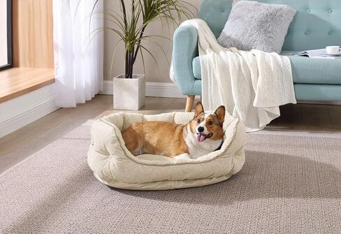 سرير Arlee Cozy Oval Round Cuddler للكلاب الأليفة - إسفنج ميموري - تم تجميعه في الولايات المتحدة الأمريكية، متوسط/كبير، رملي in Kuwait