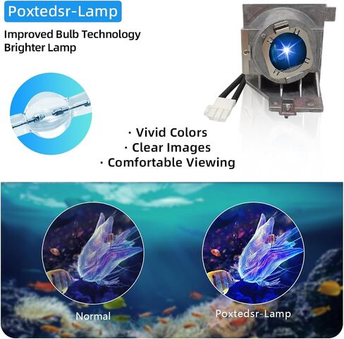 5J.JGT05.001 Replacement Projector Lamp Compatible with BENQ MH733 TH585P TH671ST Projectors, with Housing in Saudi Arabia