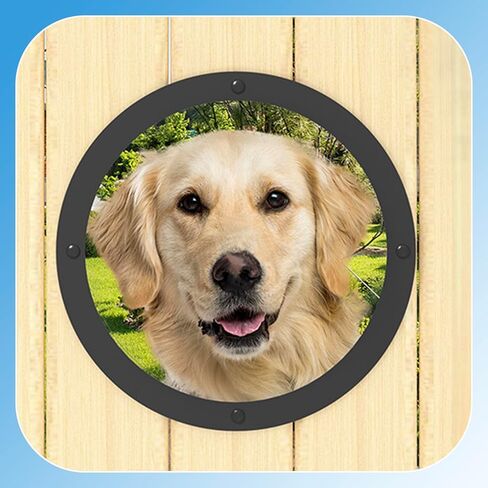 2 حزمة نافذة سياج الكلب، واضحة الحيوانات الأليفة فقاعة عرض قبة الباب نظرة خاطفة نافذة مستديرة صغيرة للكلاب / القط / الحصان خارج الملعب حديقة قطر 12.44 بوصة عمق 4.92 بوصة in Kuwait