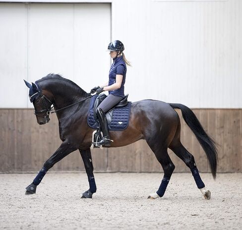 LeMieux Dressage Carbon Mesh Square Saddle Pad - English Saddle Pads for Horses - Equestrian Riding Equipment and Accessories (Black - Large) in Kuwait