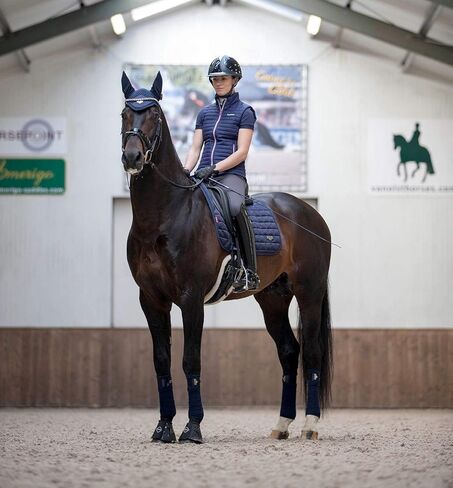 LeMieux Dressage Carbon Mesh Square Saddle Pad - English Saddle Pads for Horses - Equestrian Riding Equipment and Accessories (Black - Large) in Kuwait