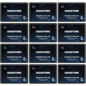 Gigastone Enterprise SSD 1TB NAS SSD Drive Cache (12-Pack) 24/7 Durable TLC High Endurance Business Server Data Center RAID Network Attached Storage 2.5" SATA Internal Solid State Hard Drives