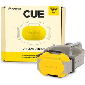 CUE Add On Yellow Ecollar with Safety Level Lock Boost Vibration Waterproof Rechargeable for Small Medium Large Dogs Dog Training Collar by Dogtra