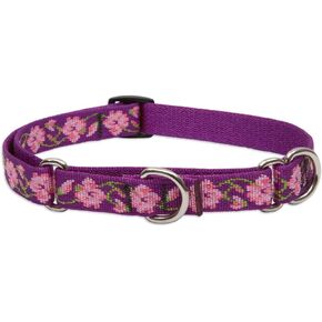 LupinePet Originals 3/4" Rose Garden 10-14" Martingale Collar for Small Dogs