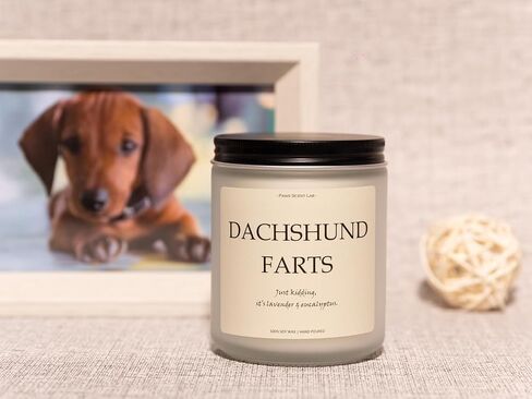 Yorkie Gifts, Yorkie Decor, Dog Farts Candle, Yorkie Gifts for Women, Yorkie Gifts for Men, Dog Mom Gifts, Dog Lovers Gifts, Dog Birthday Gift, Yorkshire Terrier Gifts - Lavender & Eucalyptus in Saudi Arabia