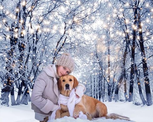 Winter Forest Backdrop 10x10ft Wonderland Snowflake Snow Scene Photography Background Christmas Party Decorations Banner Xmas Holiday Party Decor Backdrops Photo Booth Props in Saudi Arabia