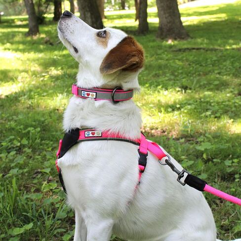 Pawtitas Lumberjack Padded Martingale Collar for Dogs | Soft Neoprene Dog Collar for Your pet's Comfort Made with Reflective Band for Maximum Visibility | Fits Small and Large Pets - XXS Orchid in Kuwait