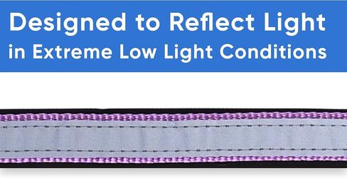 Pawtitas Lumberjack Padded Martingale Collar for Dogs | Soft Neoprene Dog Collar for Your pet's Comfort Made with Reflective Band for Maximum Visibility | Fits Small and Large Pets - XXS Orchid in Kuwait