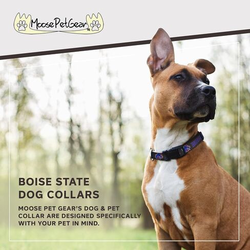 Dog Collar – Boise State University Broncos Adjustable Pet Collars, 1 Inch Wide, Large, Carbon Fiber in Saudi Arabia