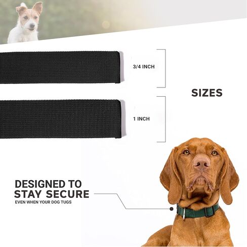 Dog Collar – Boise State University Broncos Adjustable Pet Collars, 1 Inch Wide, Large, Carbon Fiber in Saudi Arabia