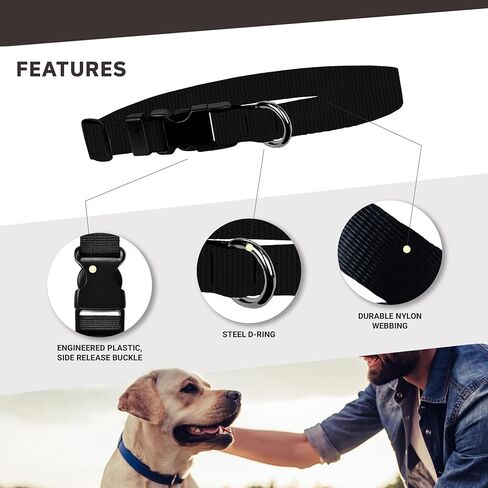 Dog Collar – Boise State University Broncos Adjustable Pet Collars, 1 Inch Wide, Large, Carbon Fiber in Saudi Arabia