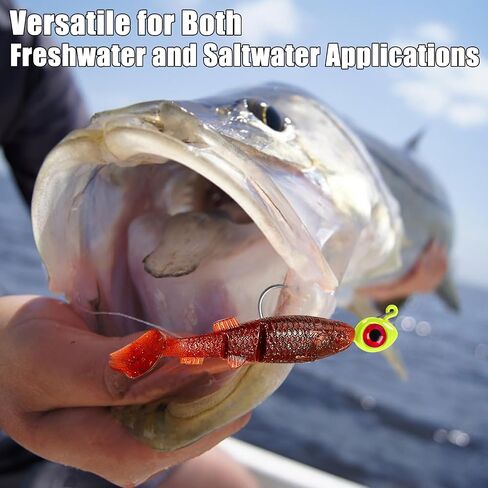 10 Pack Fishing Jig Heads, Saltwater Swimbait Jig Heads for Bass Fishing, Trout Jigs for Plastic Bait Fishing Freshwater 1/2 oz 3/8oz 1/4oz 3/16oz in Saudi Arabia