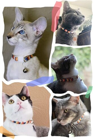 WAAAG Pet Supplies Aztec Tribal Cat & Dog Collar, Leash & Harness Set - Small, Medium & Large Sizes in Kuwait