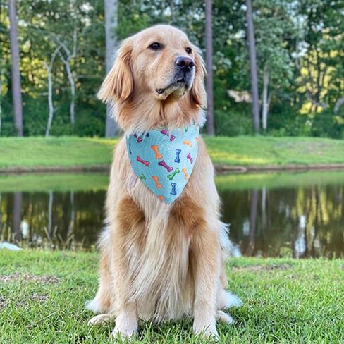 Dog's Collar with Bandanas for Small and Meidum Puppy Novelty Printed Pet Scarf,Colore Bone,Large in Saudi Arabia