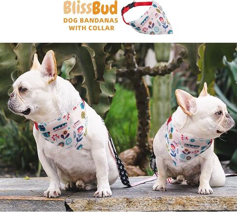 Dog's Collar with Bandanas for Small and Meidum Puppy Novelty Printed Pet Scarf,Colore Bone,Large in Saudi Arabia