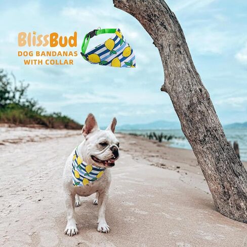 Dog's Collar with Bandanas for Small and Meidum Puppy Novelty Printed Pet Scarf,Colore Bone,Large in Saudi Arabia